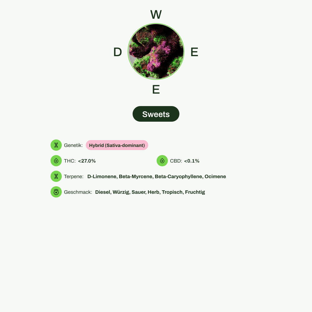 Infografik über THC-Gehalt, CBD-Gehalt, Terpene, Wirkungen, Geschmack von Sweets