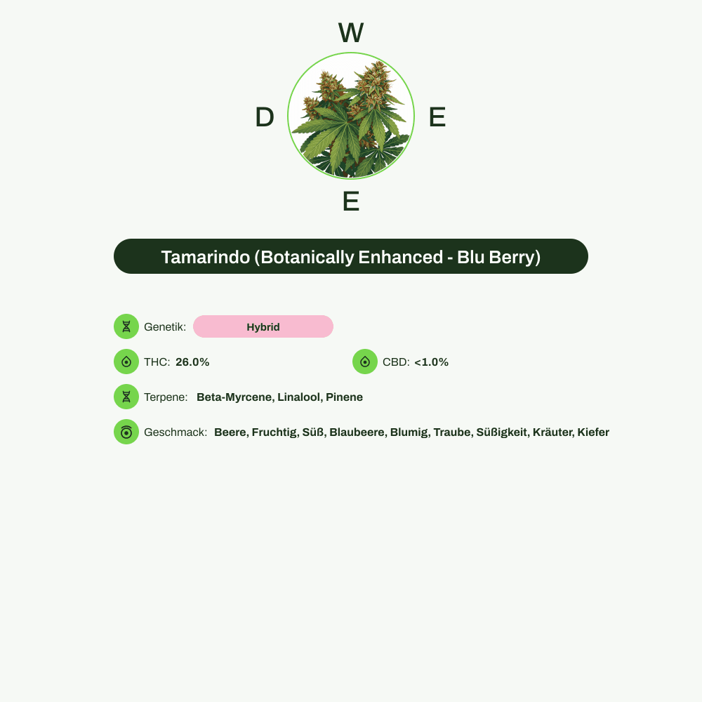 Infografik über THC-Gehalt, CBD-Gehalt, Terpene, Wirkungen, Geschmack von Tamarindo (Botanically Enhanced - Blu Berry)