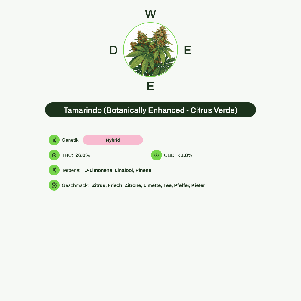 Infografik über THC-Gehalt, CBD-Gehalt, Terpene, Wirkungen, Geschmack von Tamarindo (Botanically Enhanced - Citrus Verde)