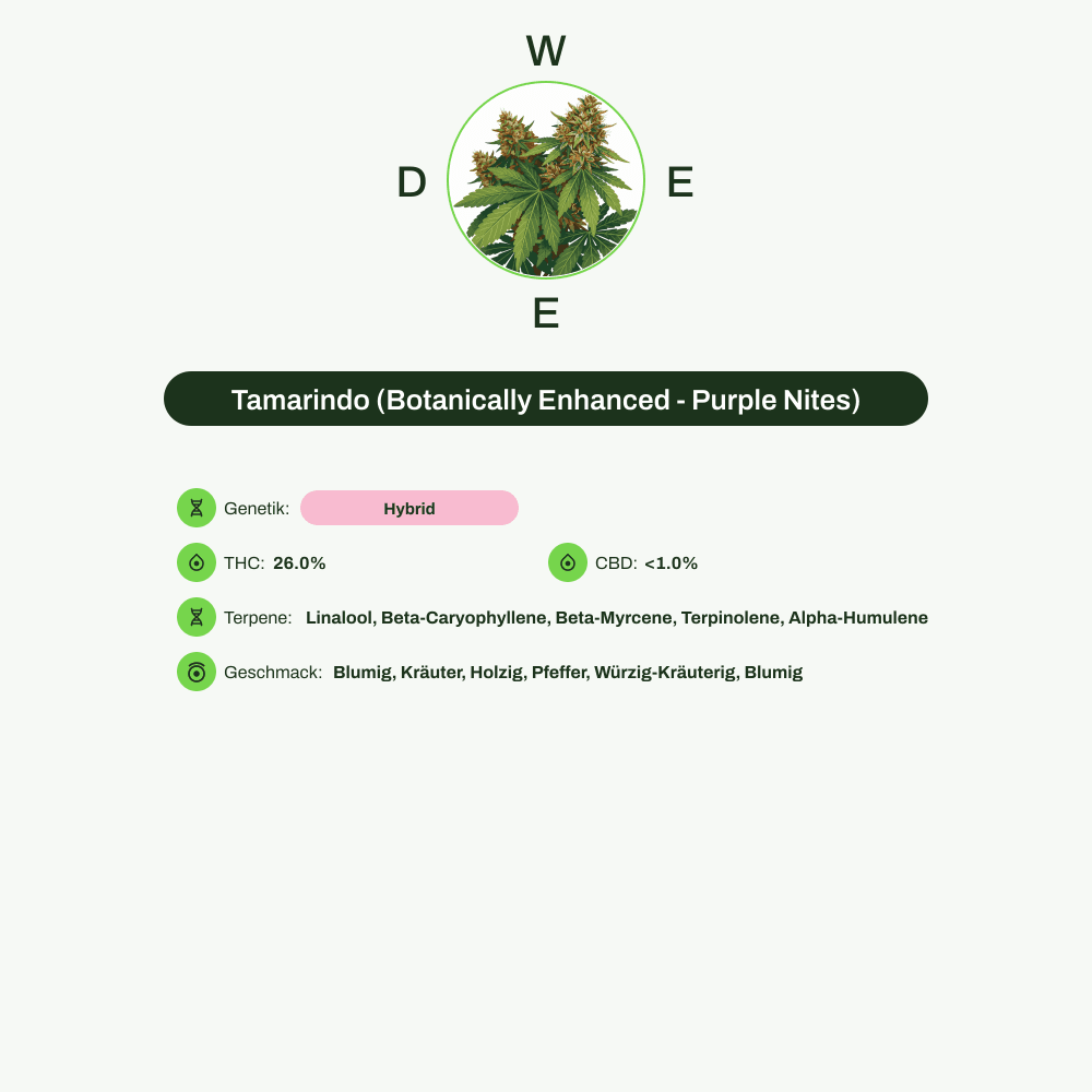 Infografik über THC-Gehalt, CBD-Gehalt, Terpene, Wirkungen, Geschmack von Tamarindo (Botanically Enhanced - Purple Nites)