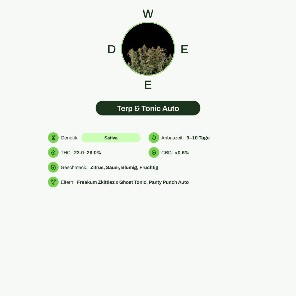 Infografik über THC-Gehalt, CBD-Gehalt, Wirkungen, Geschmack von Terp & Tonic Auto