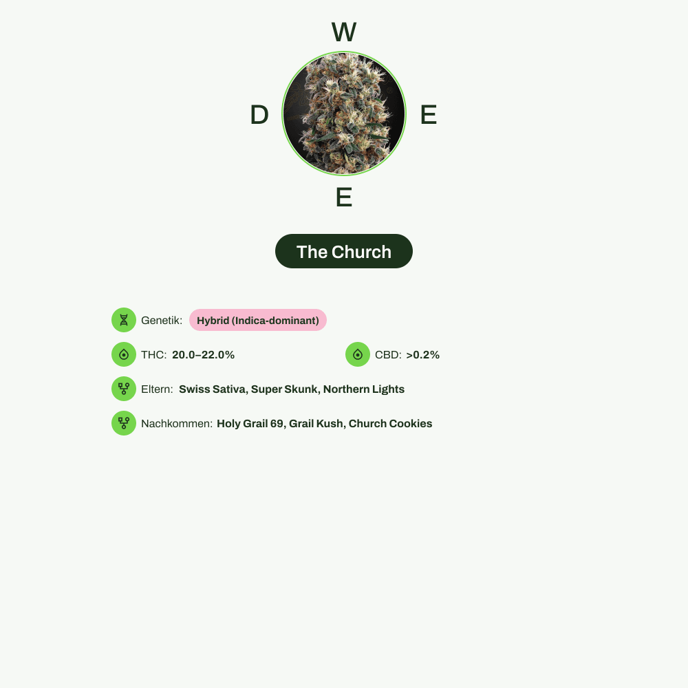 Infografik über THC-Gehalt, CBD-Gehalt von The Church
