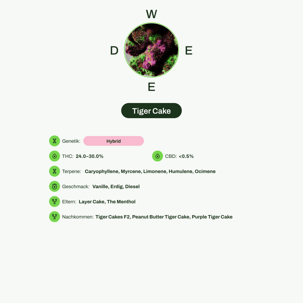 Infografik über THC-Gehalt, CBD-Gehalt, Terpene, Wirkungen, Geschmack von Tiger Cake