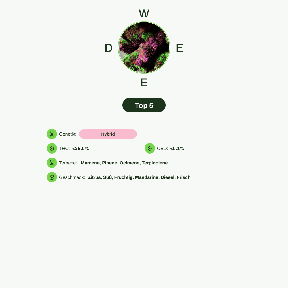 Infografik über THC-Gehalt, CBD-Gehalt, Terpene, Wirkungen, Geschmack von Top 5