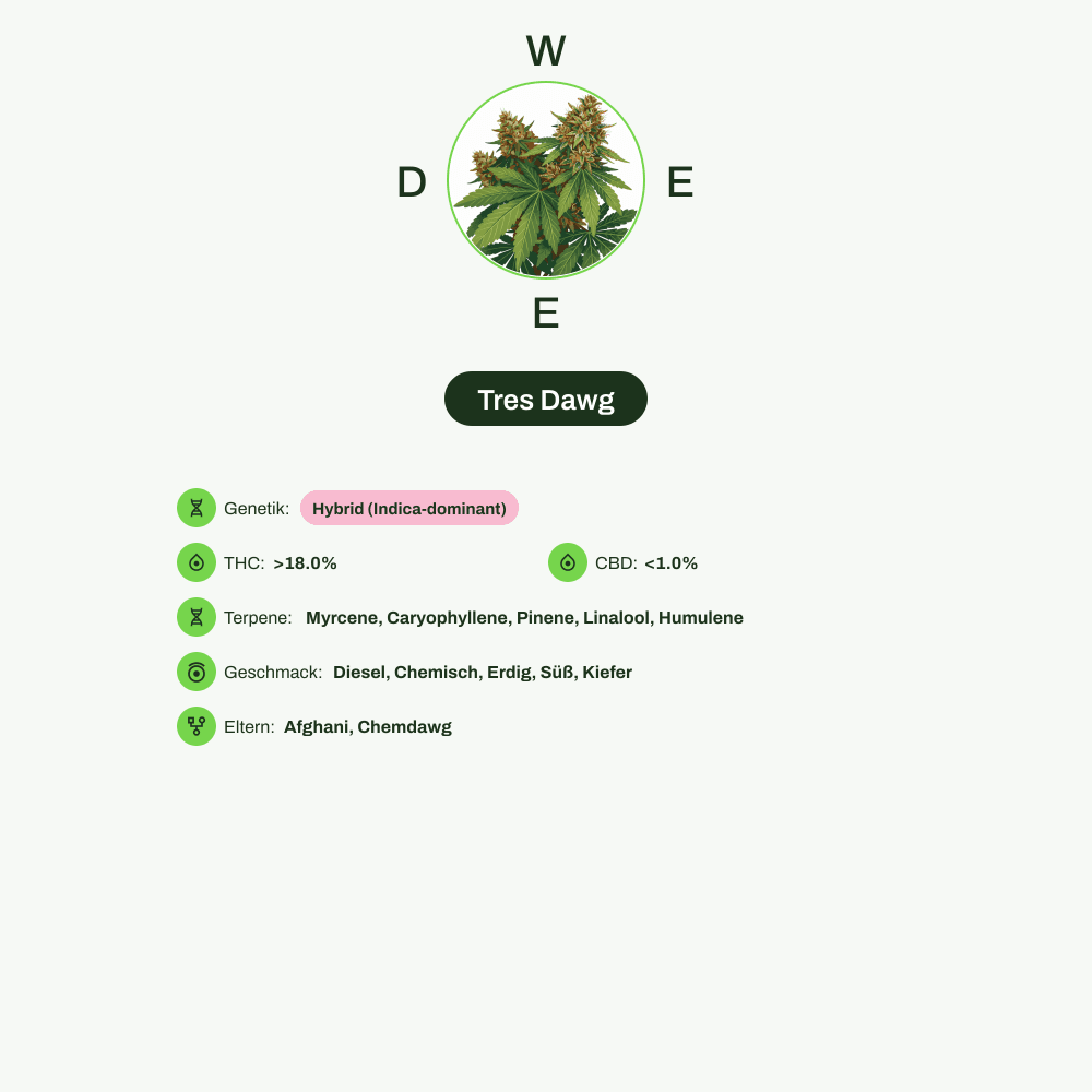Infografik über THC-Gehalt, CBD-Gehalt, Terpene, Wirkungen, Geschmack von Tres Dawg