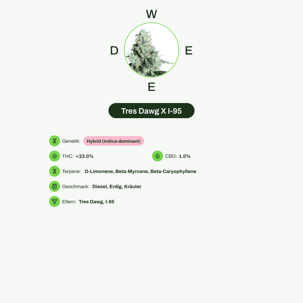Infografik über THC-Gehalt, CBD-Gehalt, Terpene, Wirkungen, Geschmack von Tres Dawg X I-95