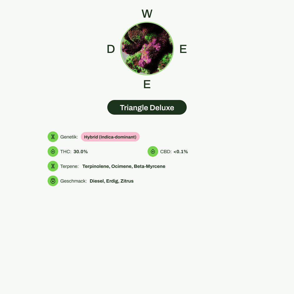 Infografik über THC-Gehalt, CBD-Gehalt, Terpene, Wirkungen, Geschmack von Triangle Deluxe