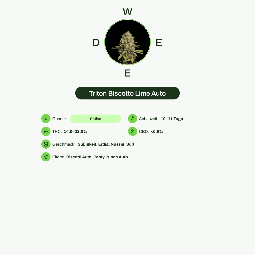 Infografik über THC-Gehalt, CBD-Gehalt, Wirkungen, Geschmack von Triton Biscotto Lime Auto