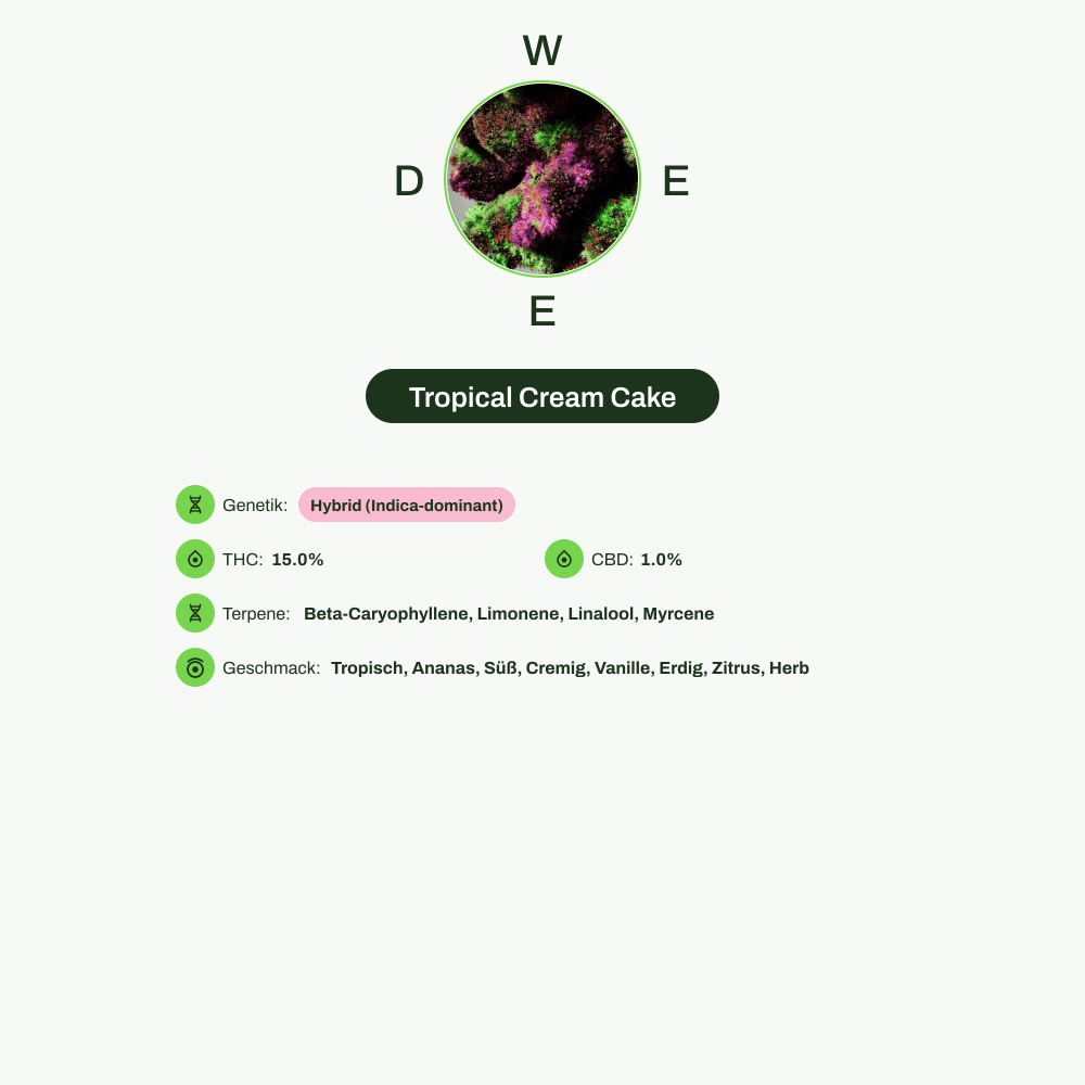 Infografik über THC-Gehalt, CBD-Gehalt, Terpene, Wirkungen, Geschmack von Tropical Cream Cake
