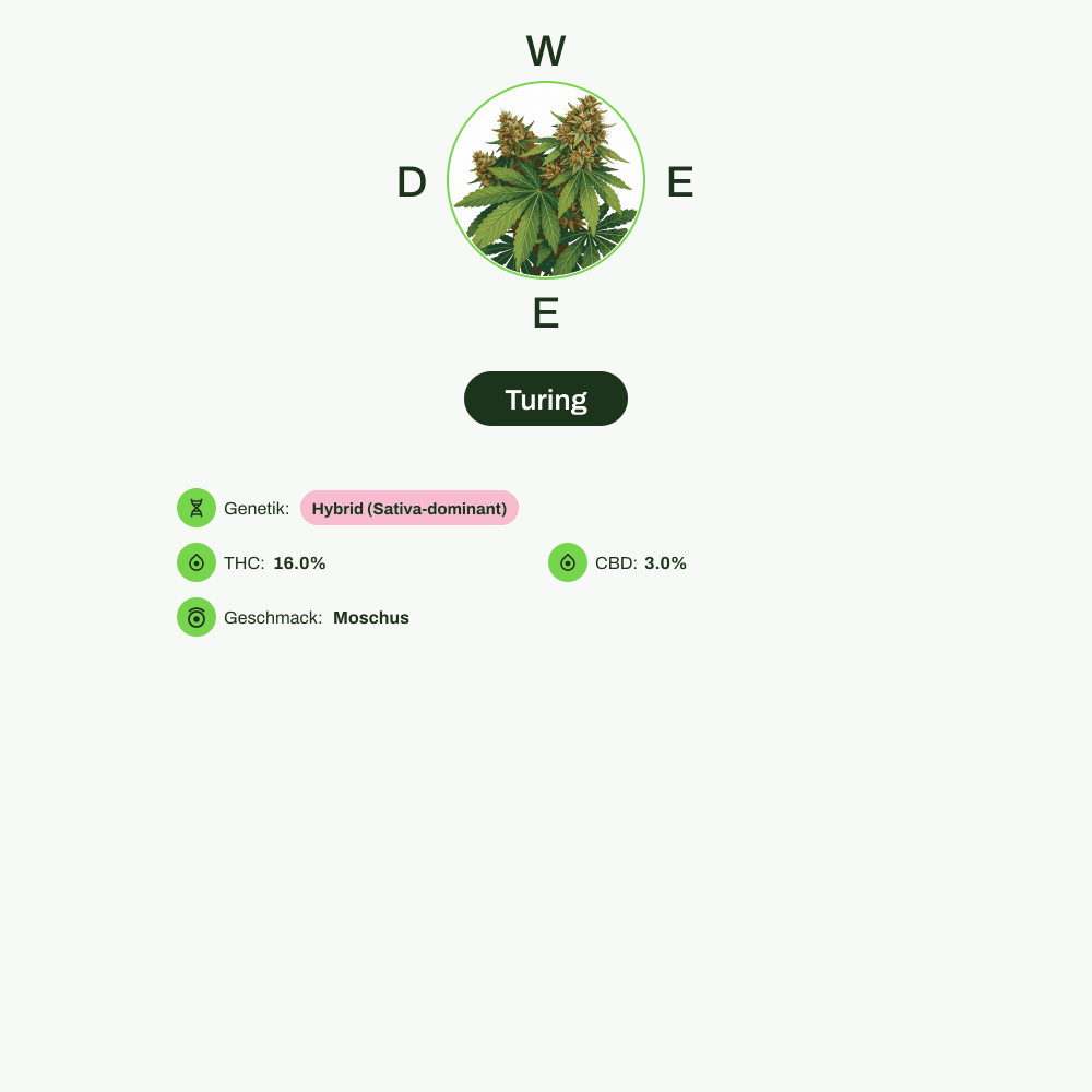 Infografik über THC-Gehalt, CBD-Gehalt, Geschmack von Turing