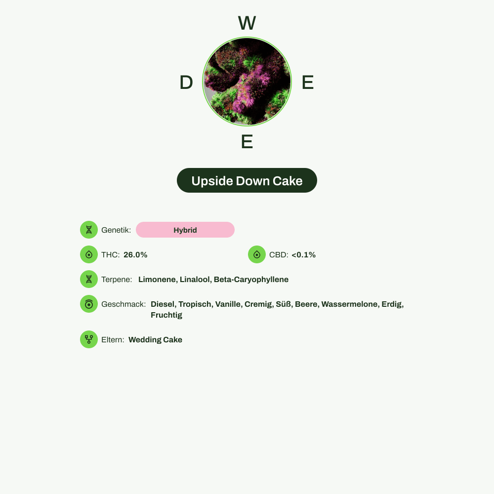 Infografik über THC-Gehalt, CBD-Gehalt, Terpene, Wirkungen, Geschmack von Upside Down Cake