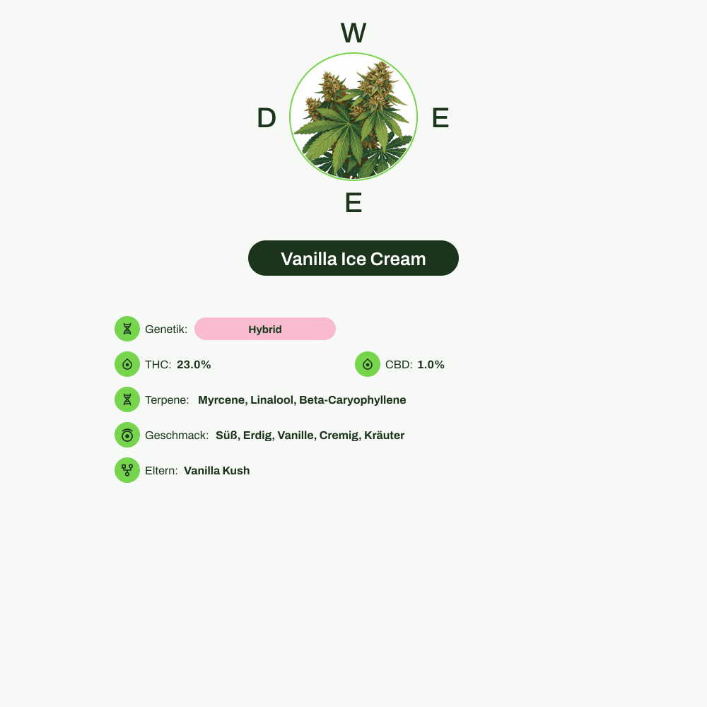 Infografik über THC-Gehalt, CBD-Gehalt, Terpene, Wirkungen, Geschmack von Vanilla Ice Cream