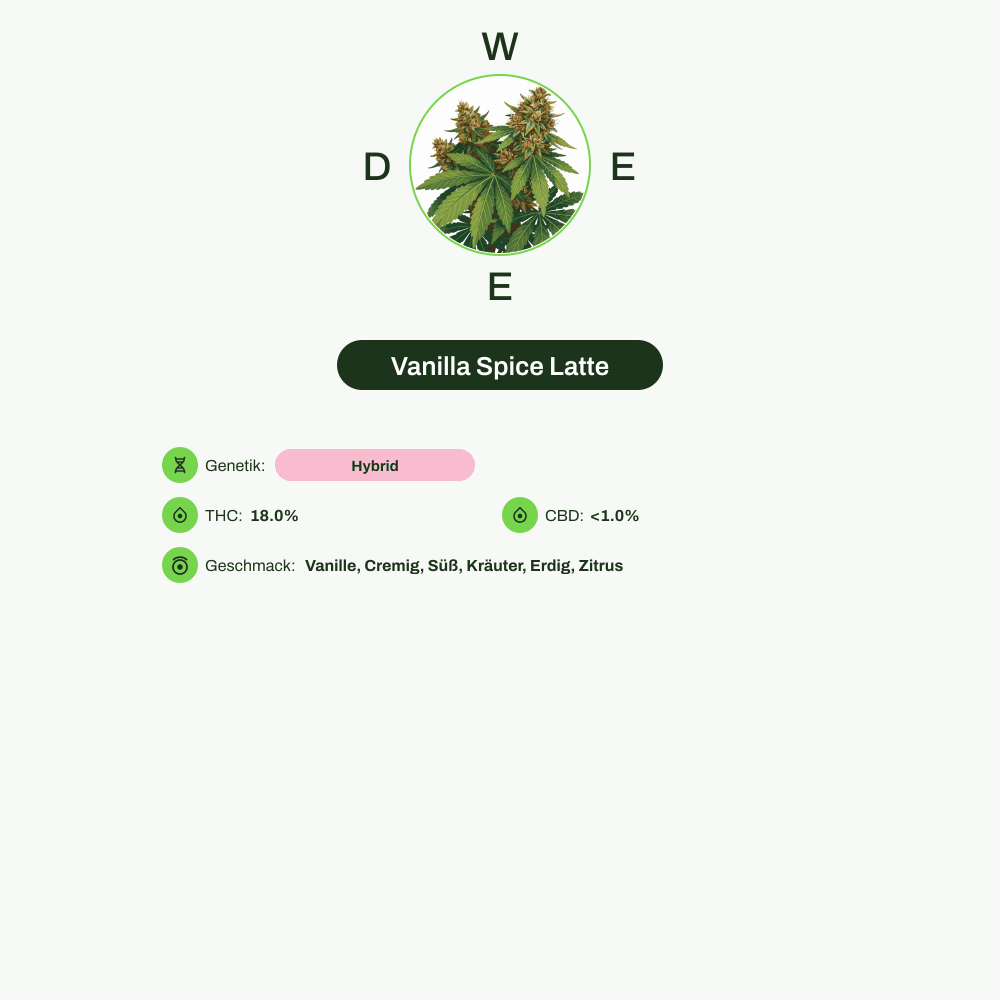 Infografik über THC-Gehalt, CBD-Gehalt, Wirkungen, Geschmack von Vanilla Spice Latte