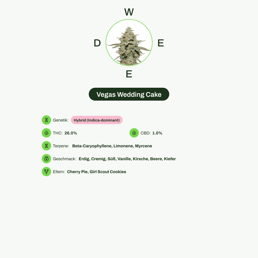 Infografik über THC-Gehalt, CBD-Gehalt, Terpene, Wirkungen, Geschmack von Vegas Wedding Cake