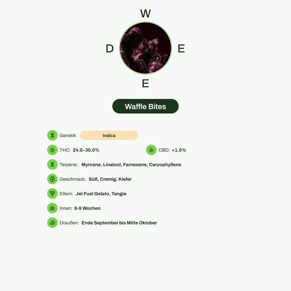 Infografik über THC-Gehalt, CBD-Gehalt, Terpene, Wirkungen, Geschmack von Waffle Bites