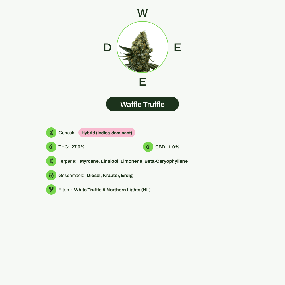 Infografik über THC-Gehalt, CBD-Gehalt, Terpene, Wirkungen, Geschmack von Waffle Truffle