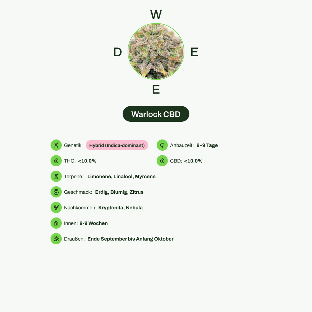Infografik über THC-Gehalt, CBD-Gehalt, Terpene, Wirkungen, Geschmack von Warlock CBD
