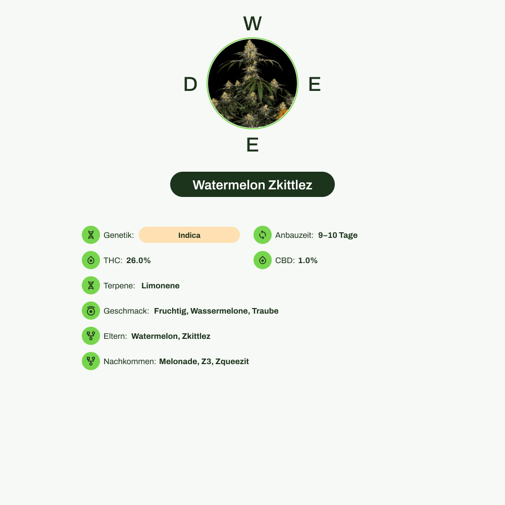 Infografik über THC-Gehalt, CBD-Gehalt, Terpene, Wirkungen, Geschmack von Watermelon Zkittlez