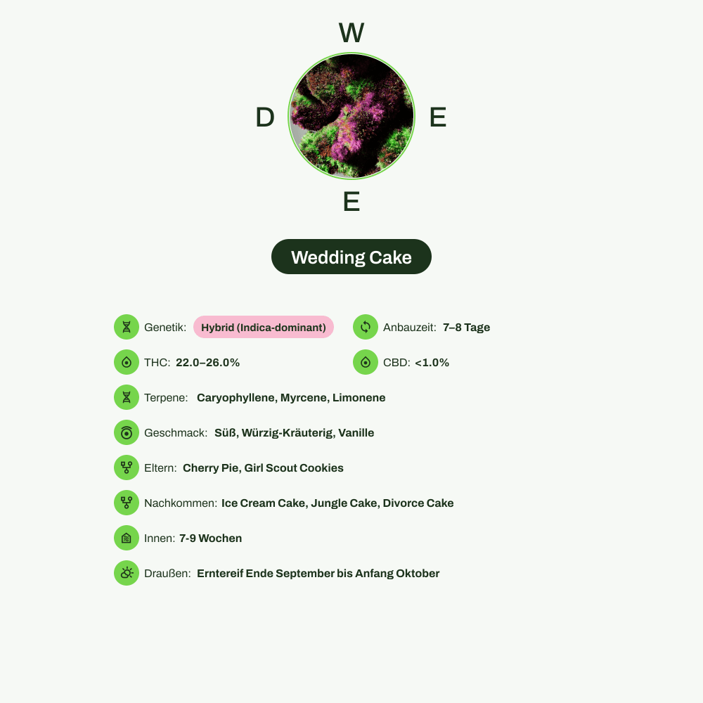 Infografik über THC-Gehalt, CBD-Gehalt, Terpene, Wirkungen, Geschmack von Wedding Cake