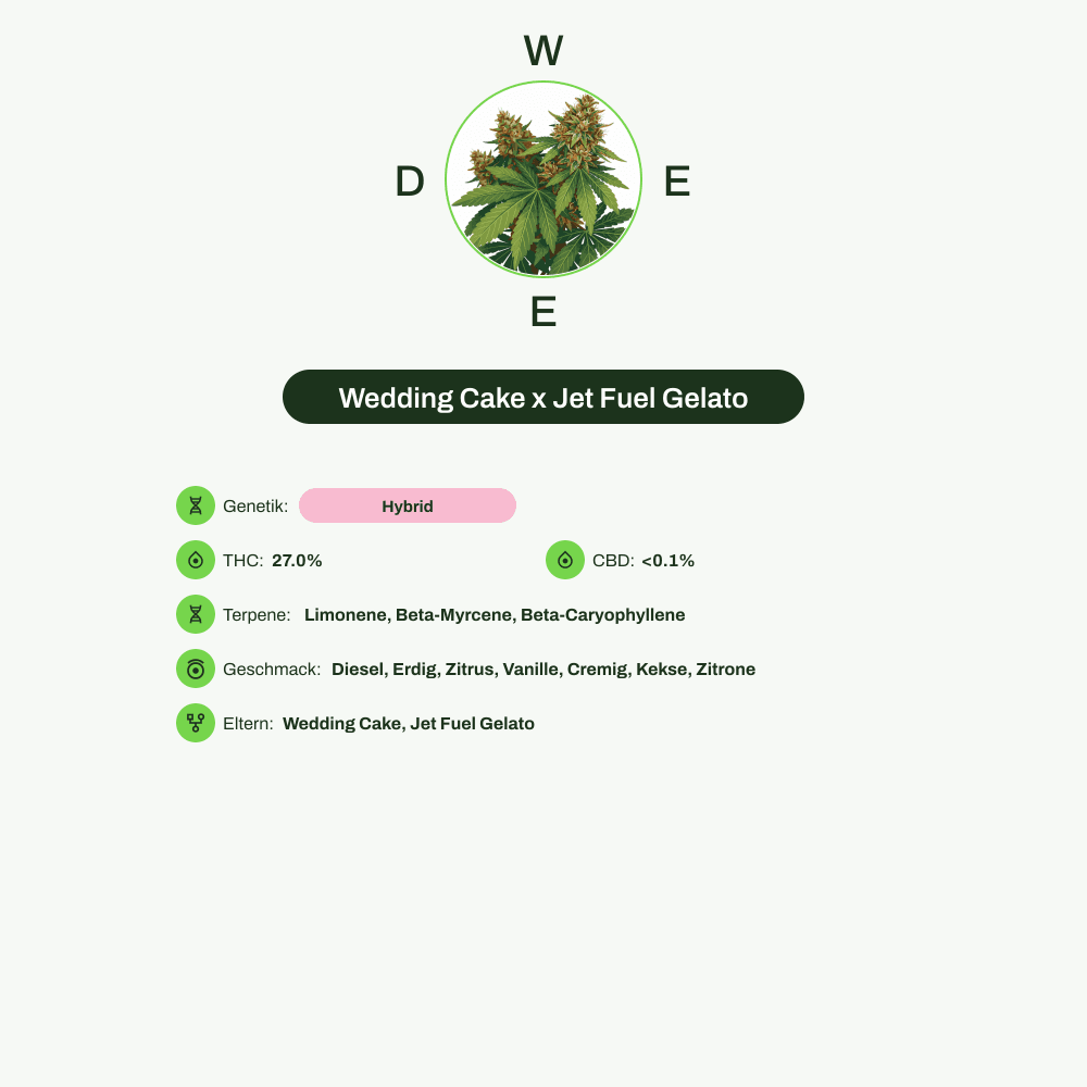 Infografik über THC-Gehalt, CBD-Gehalt, Terpene, Wirkungen, Geschmack von Wedding Cake x Jet Fuel Gelato