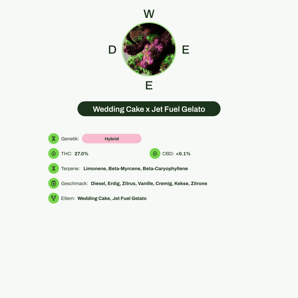 Infografik über THC-Gehalt, CBD-Gehalt, Terpene, Wirkungen, Geschmack von Wedding Cake x Jet Fuel Gelato