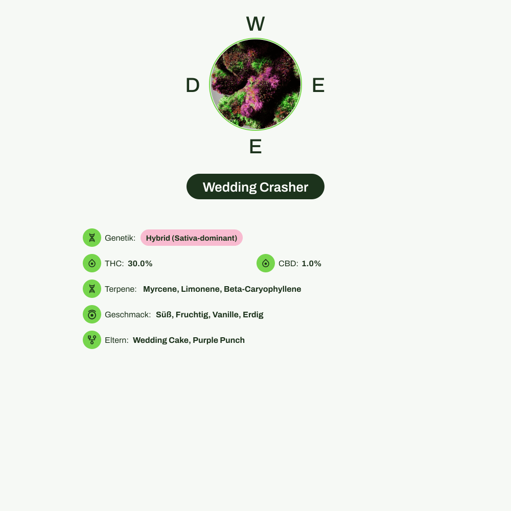 Infografik über THC-Gehalt, CBD-Gehalt, Terpene, Wirkungen, Geschmack von Wedding Crasher