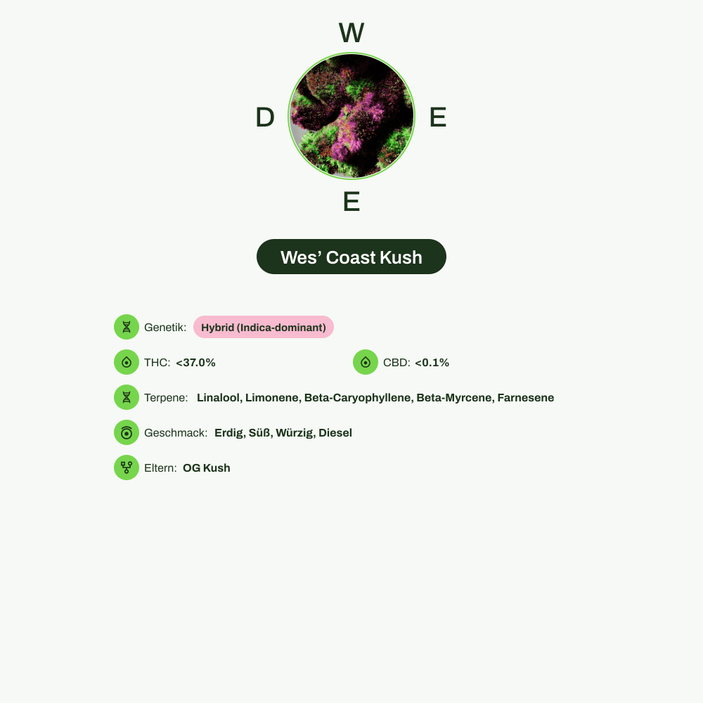 Infografik über THC-Gehalt, CBD-Gehalt, Terpene, Wirkungen, Geschmack von Wes’ Coast Kush