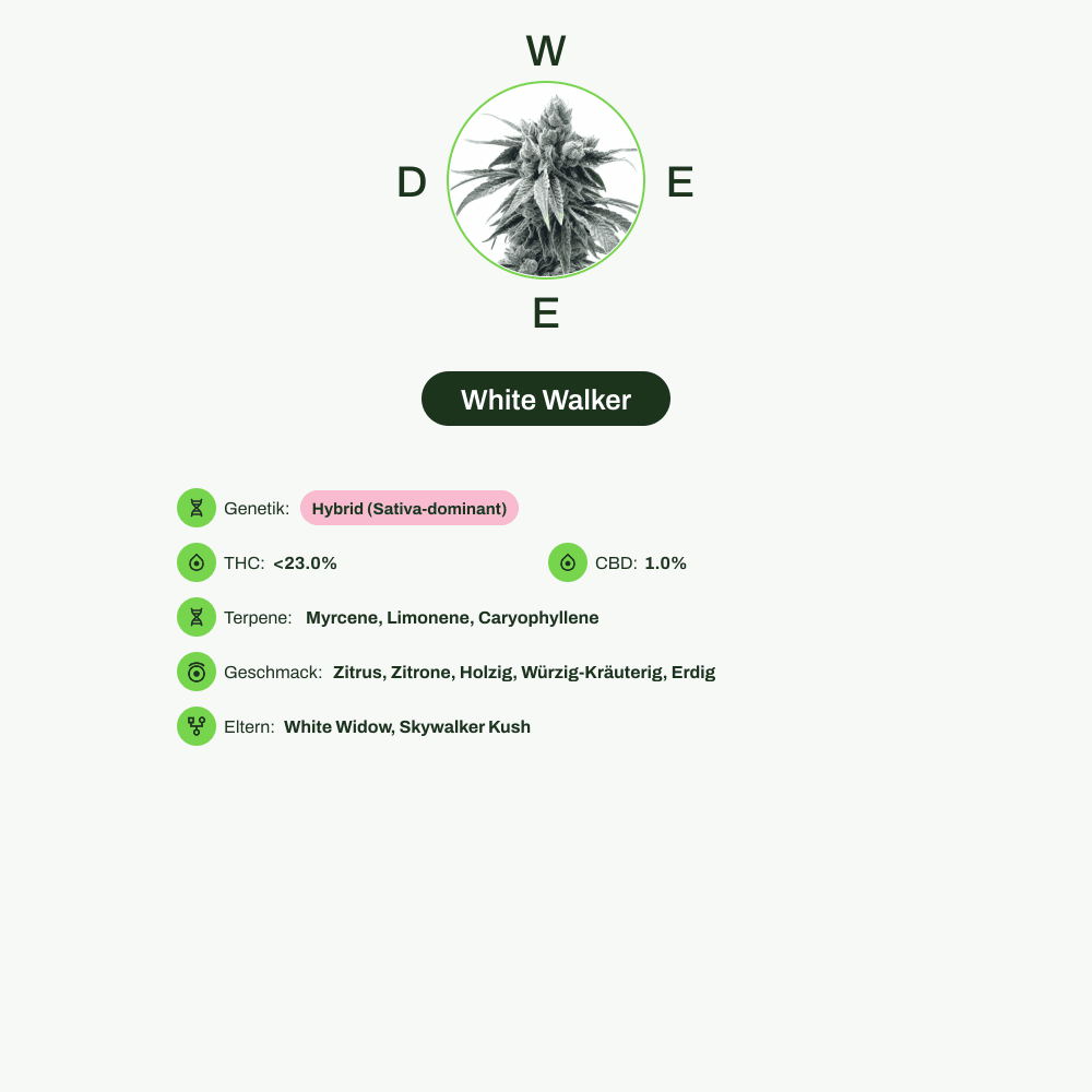 Infografik über THC-Gehalt, CBD-Gehalt, Terpene, Wirkungen, Geschmack von White Walker
