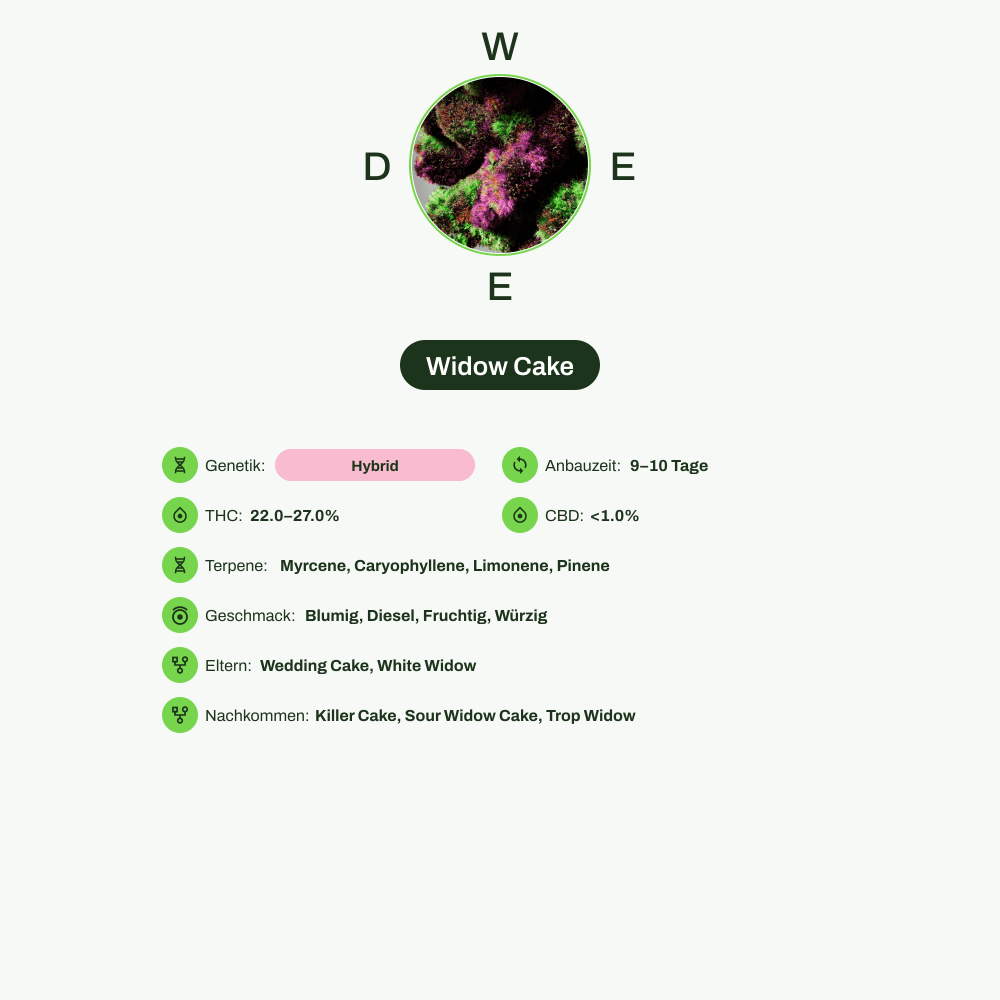 Infografik über THC-Gehalt, CBD-Gehalt, Terpene, Wirkungen, Geschmack von Widow Cake