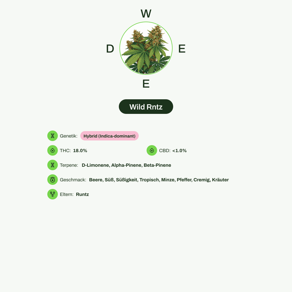 Infografik über THC-Gehalt, CBD-Gehalt, Terpene, Wirkungen, Geschmack von Wild Rntz
