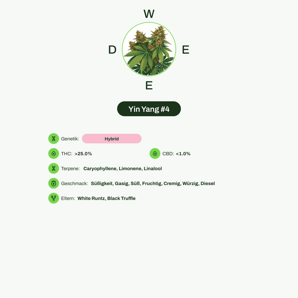 Infografik über THC-Gehalt, CBD-Gehalt, Terpene, Wirkungen, Geschmack von Yin Yang #4