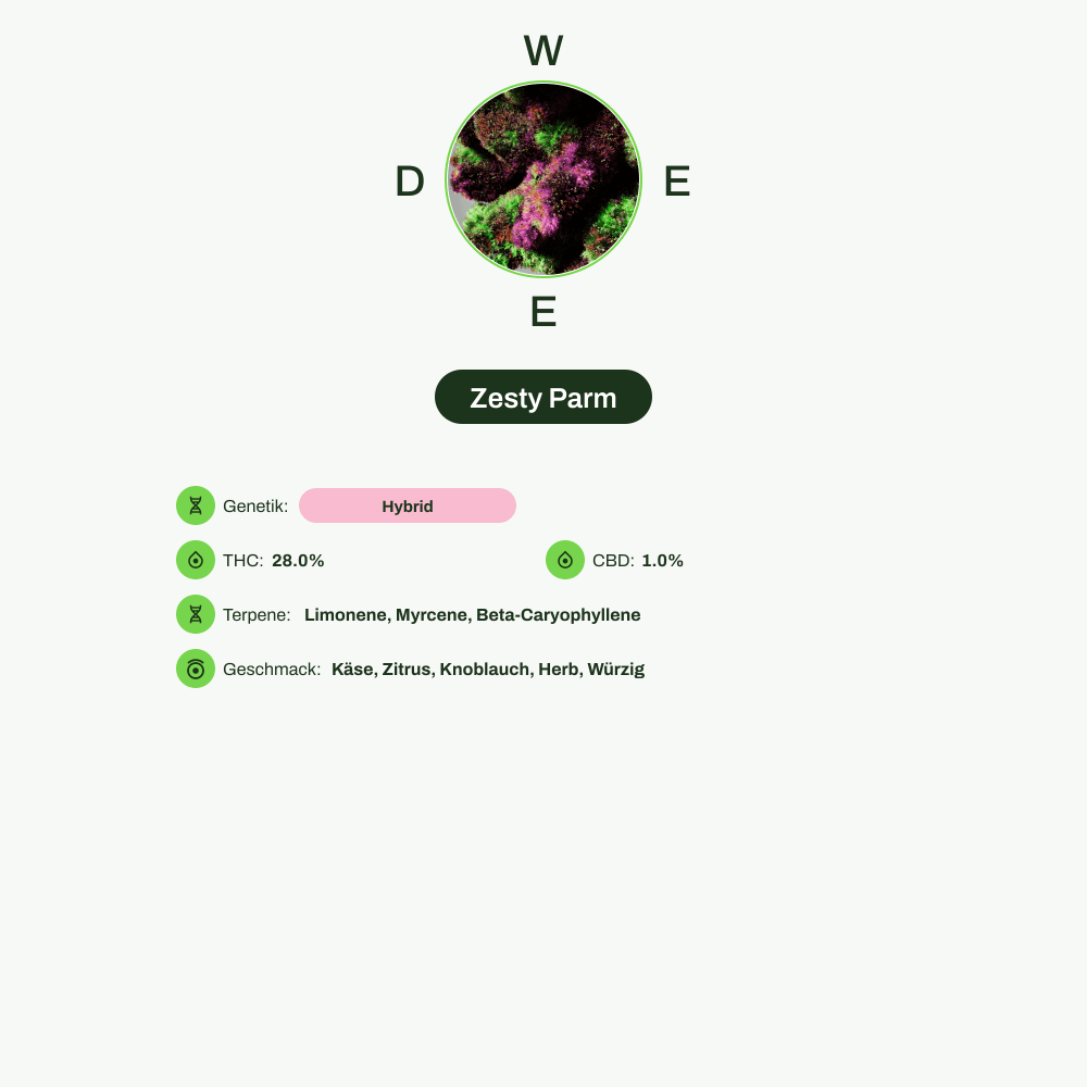 Infografik über THC-Gehalt, CBD-Gehalt, Terpene, Wirkungen, Geschmack von Zesty Parm