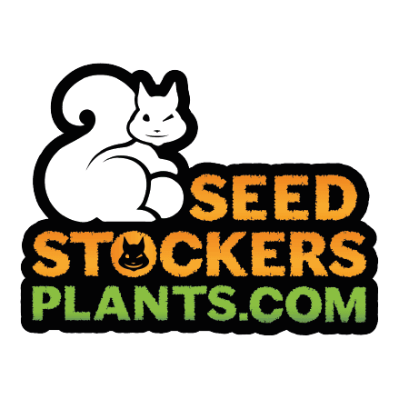 Seedstockers Plants