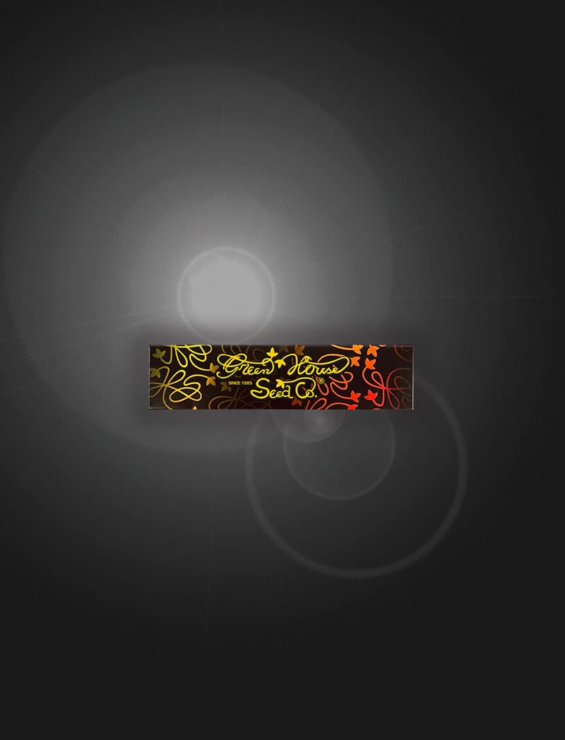 Jetzt ansehen GREEN HOUSE SEED CO. ROLLING PAPERS CREATORS OF CHAMPIONS