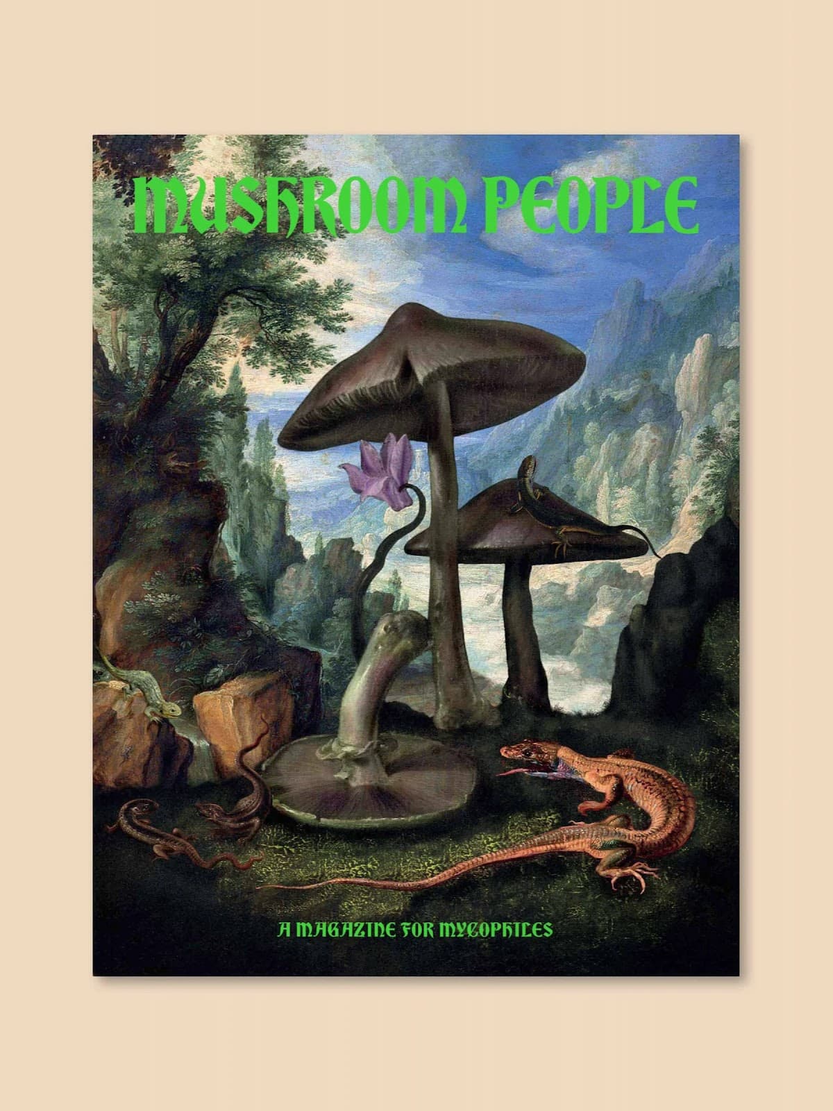 Jetzt ansehen Mushroom People Magazin