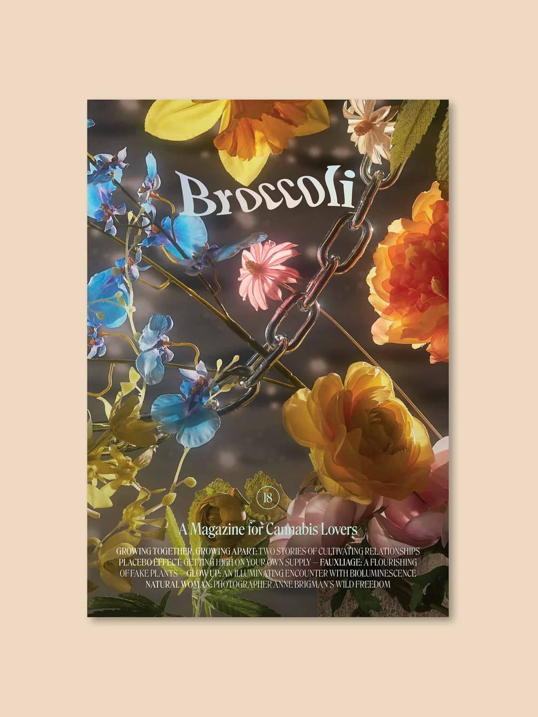 Jetzt ansehen Magazine