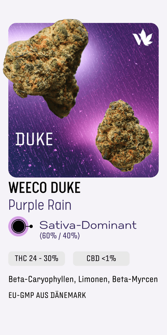 weeco duke purple rain sativa medizinisches cannabis