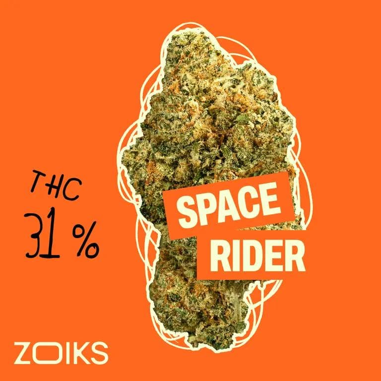 zoiks