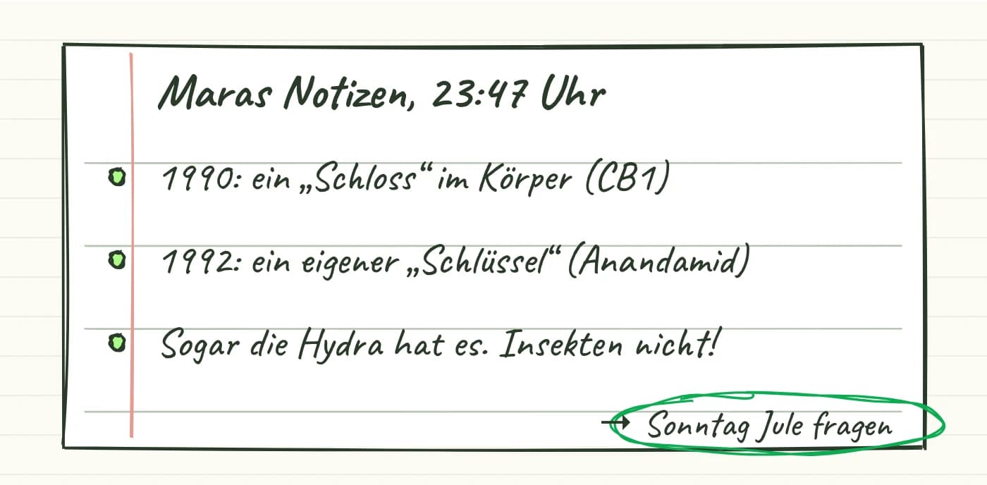 Maras Notizbuch um 23:47 Uhr: drei Fakten, die sie erst nicht glauben wollte, und eine Frage an Jule. Quellen 2, 3, 9, 10.