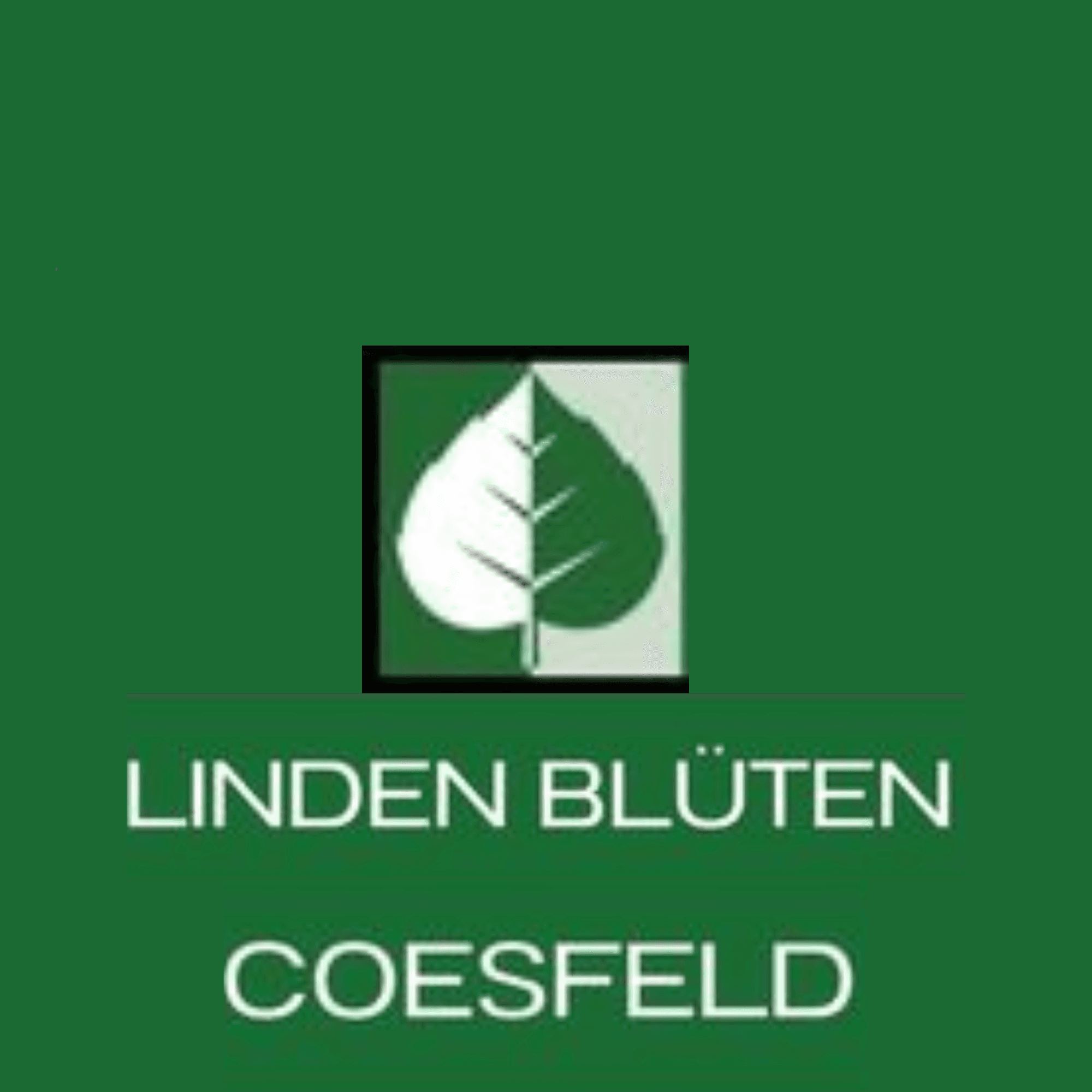 Linden Blüten Coesfeld