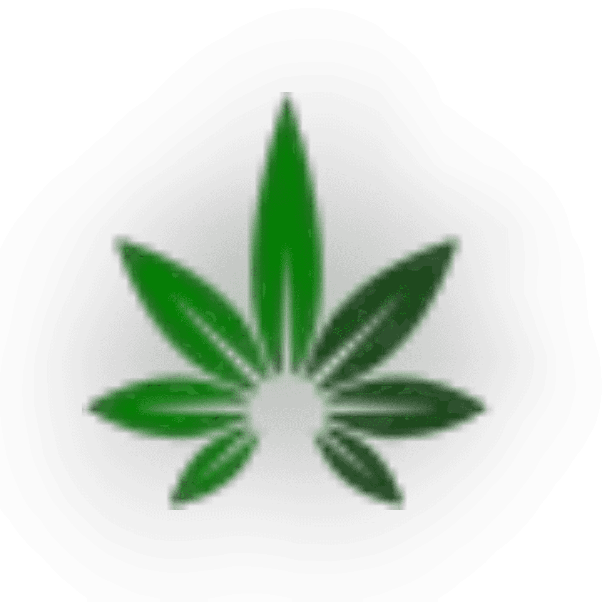 Schanzen-Cannabis Stern-Apotheke