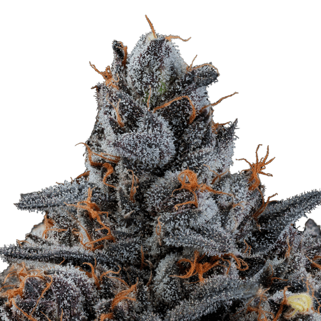 Med. Cannabis