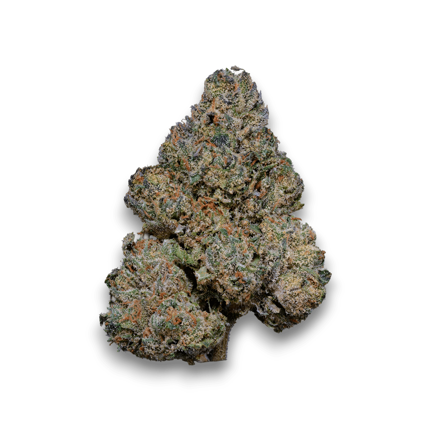 Med. Cannabis