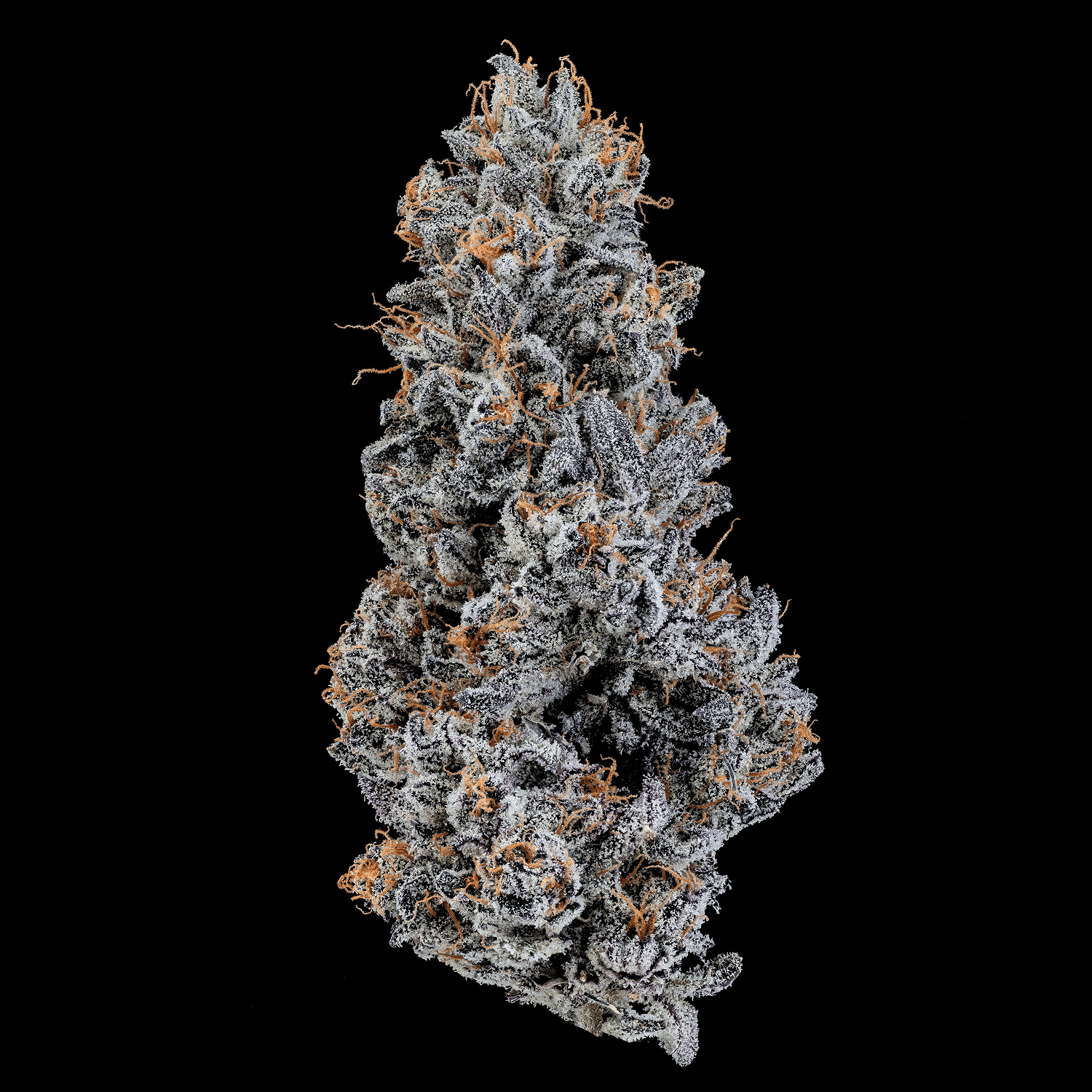 Med. Cannabis