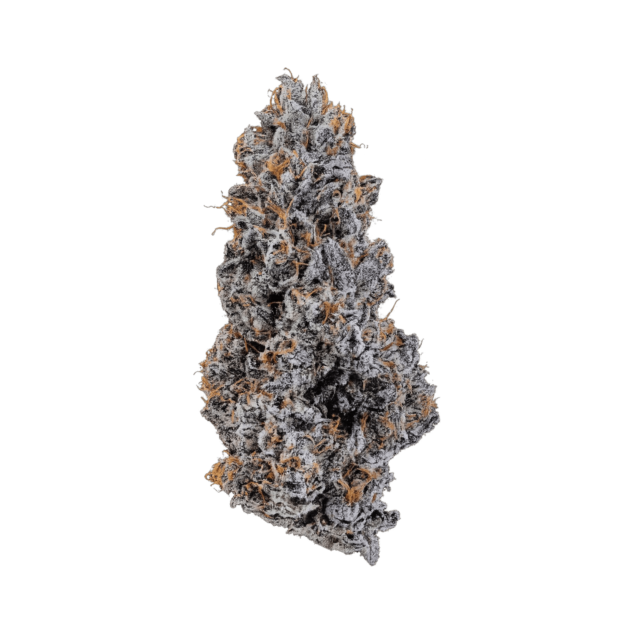 Med. Cannabis