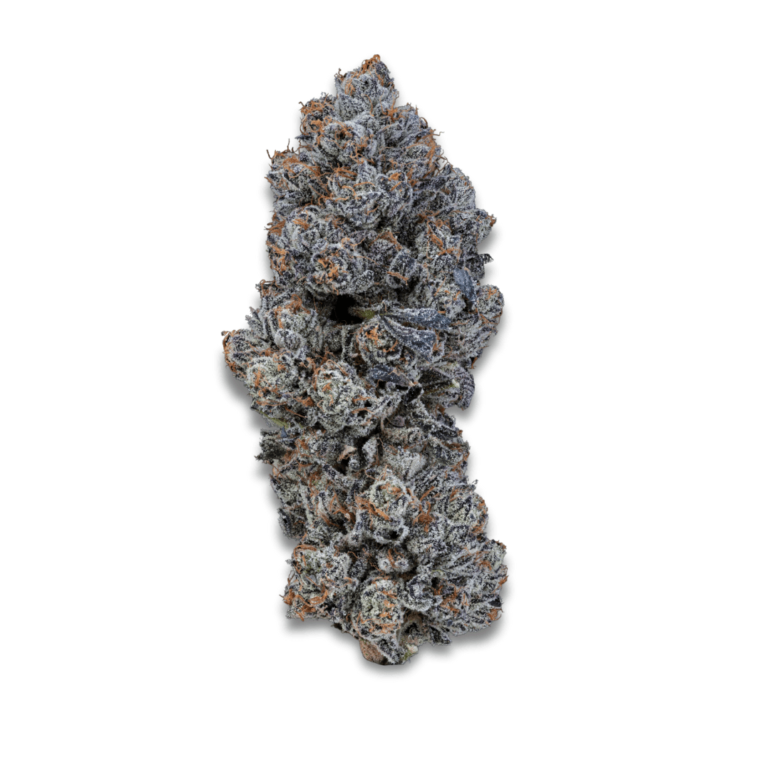 24/1 IUVO OC Neutronium