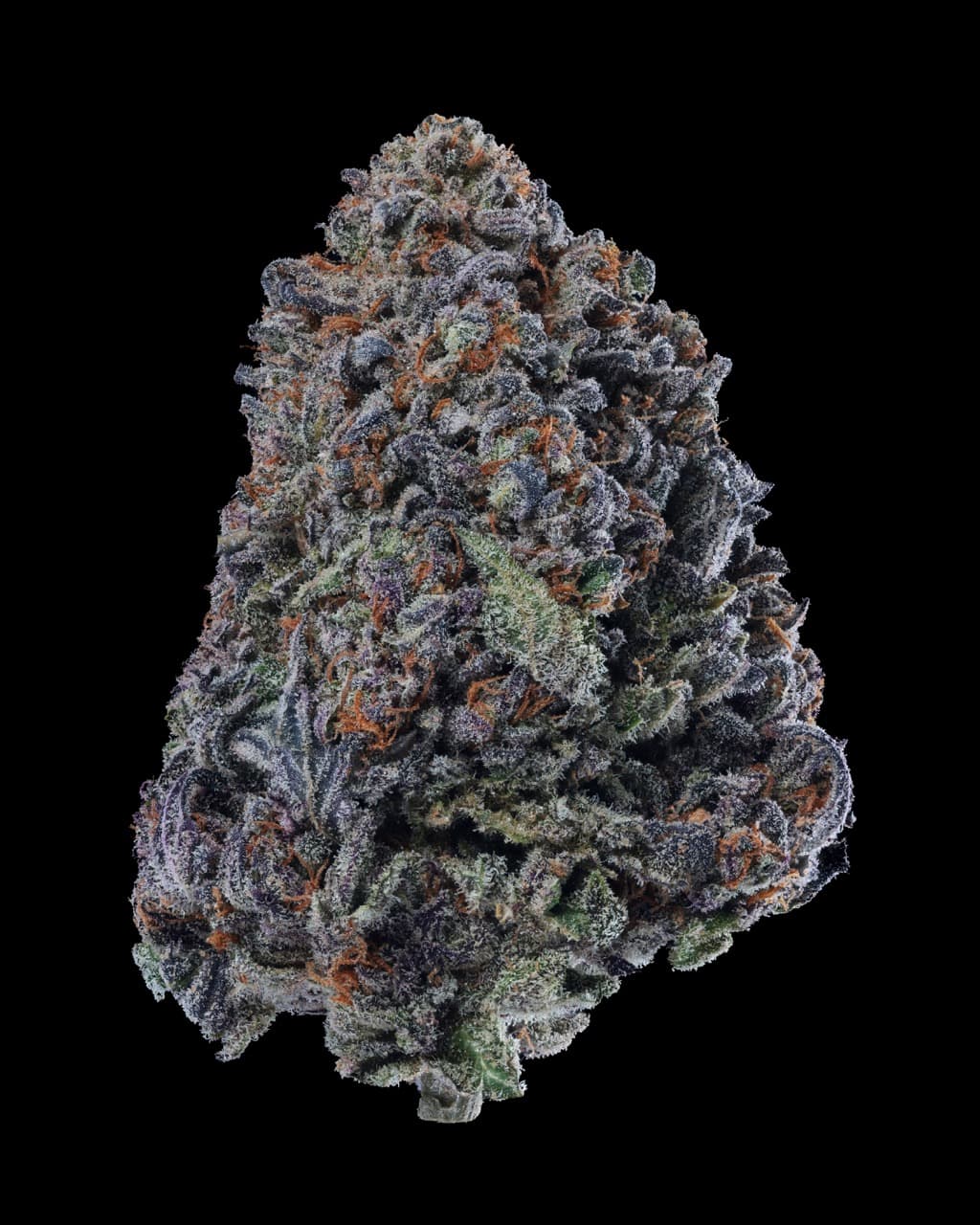 Med. Cannabis