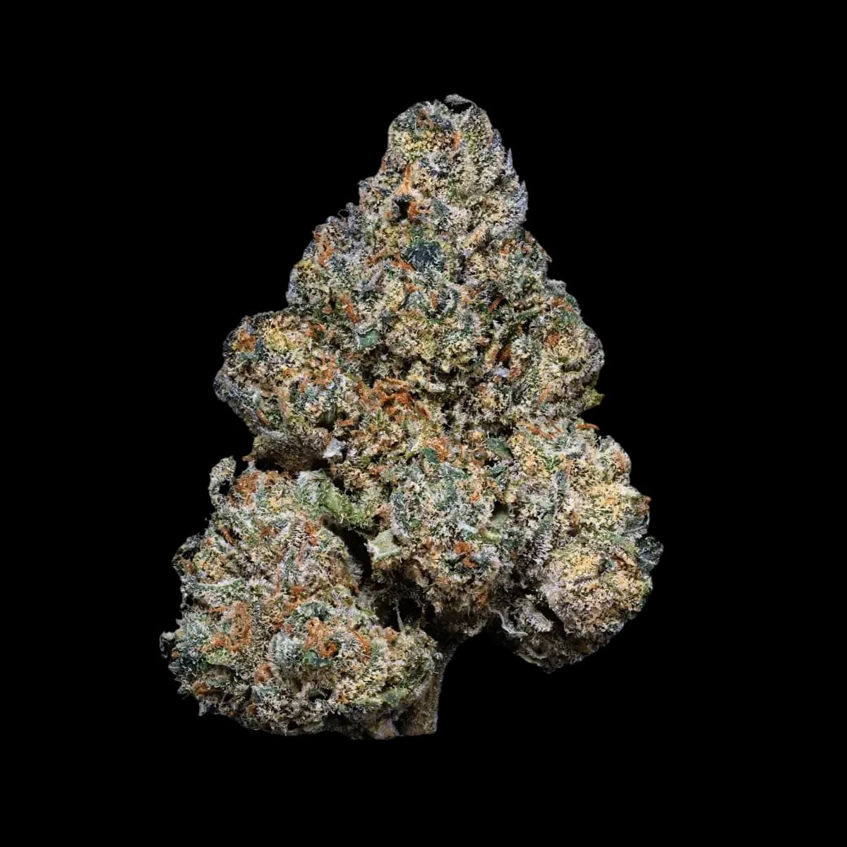 Med. Cannabis