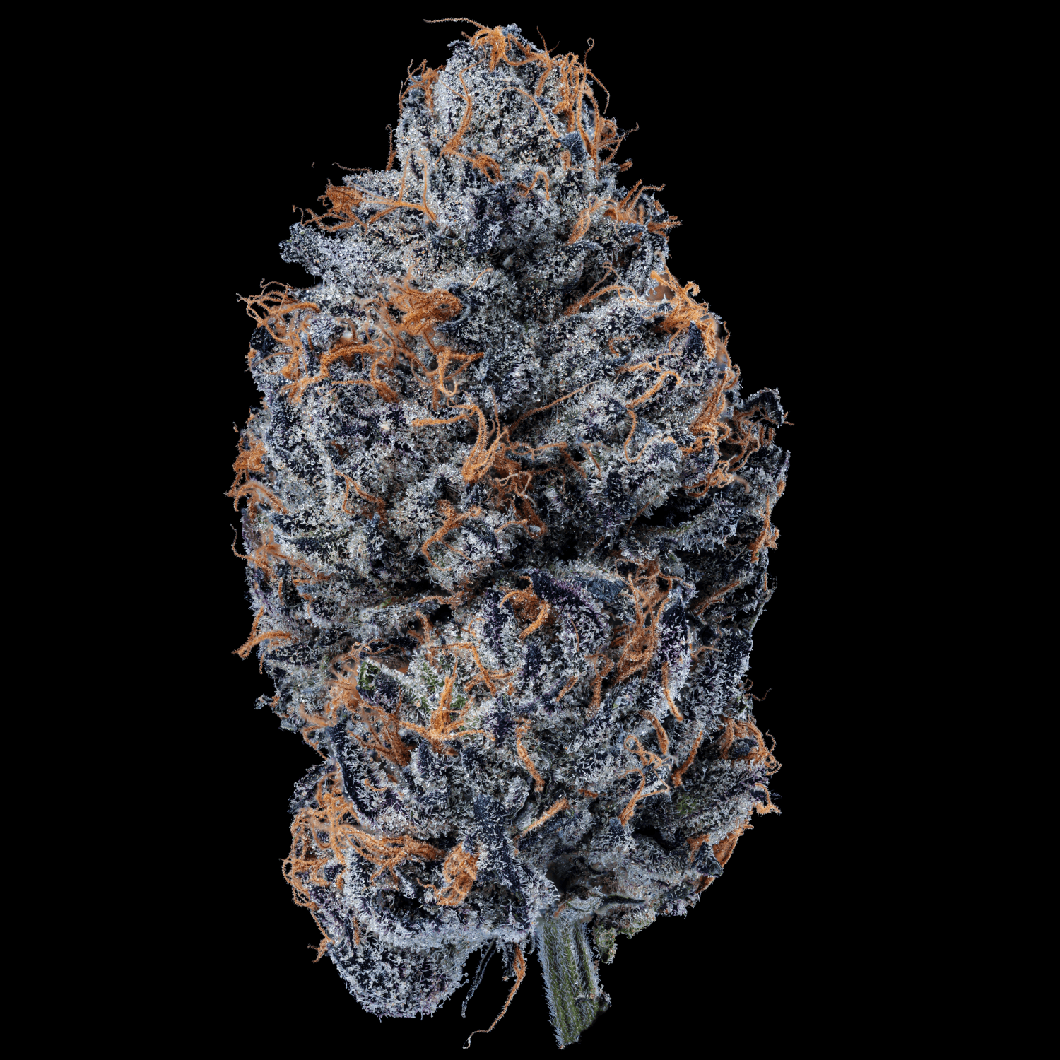 Med. Cannabis