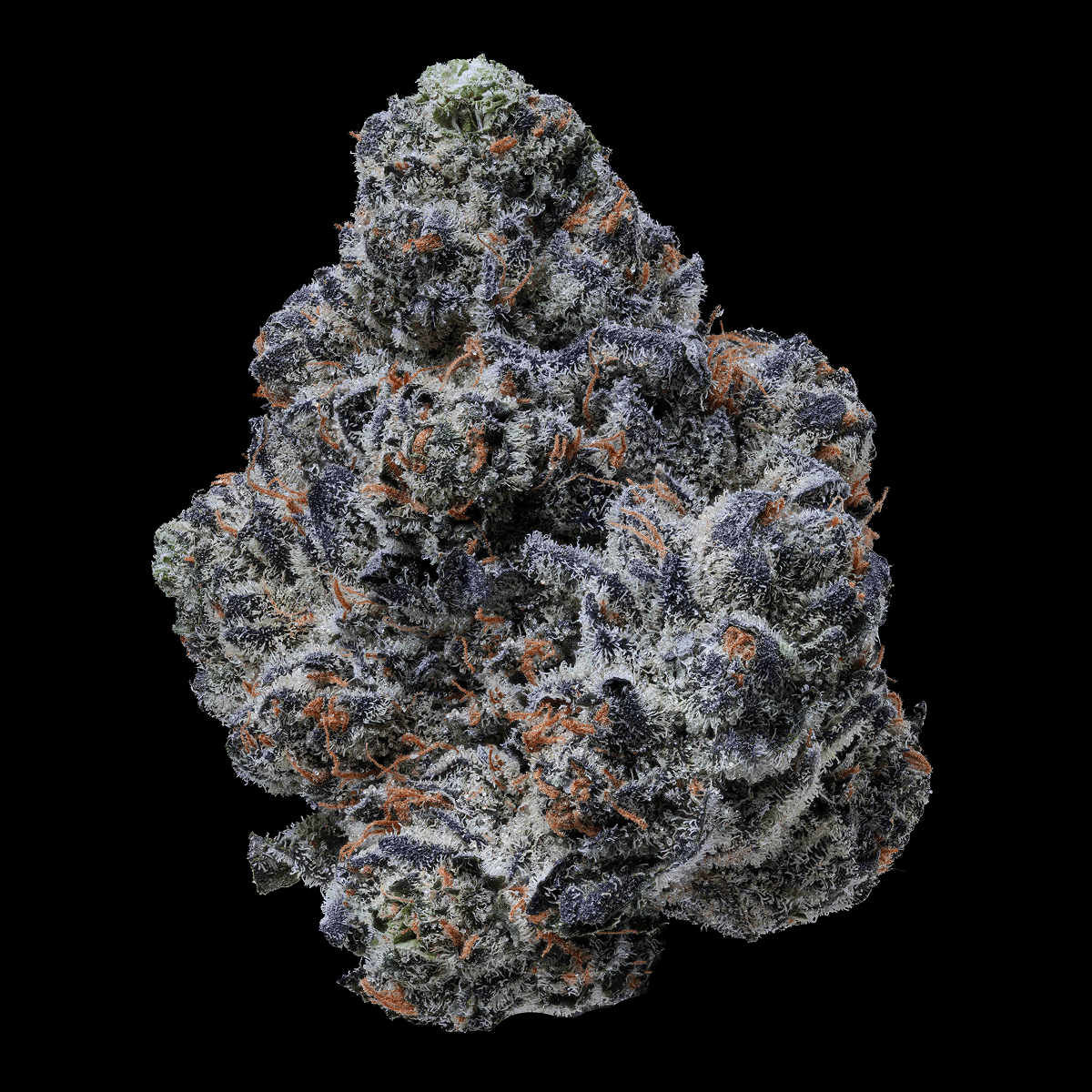 28/1 IUVO OC Killer Cupcake